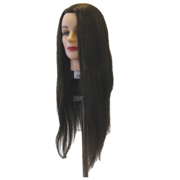 Kampauspää XL, Tumma ruskea (65 cm)